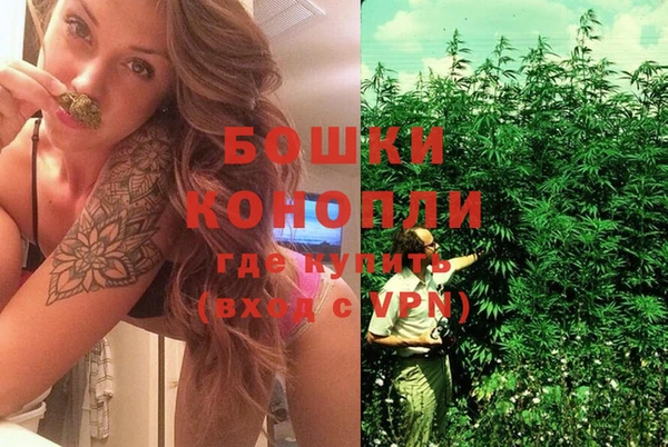не бодяженный Аркадак