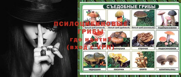 кокс Арсеньев