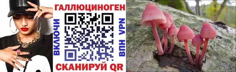 где продают наркотики  Правдинск  Галлюциногенные грибы мицелий 